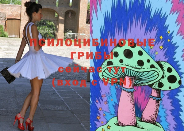 гашик Арсеньев